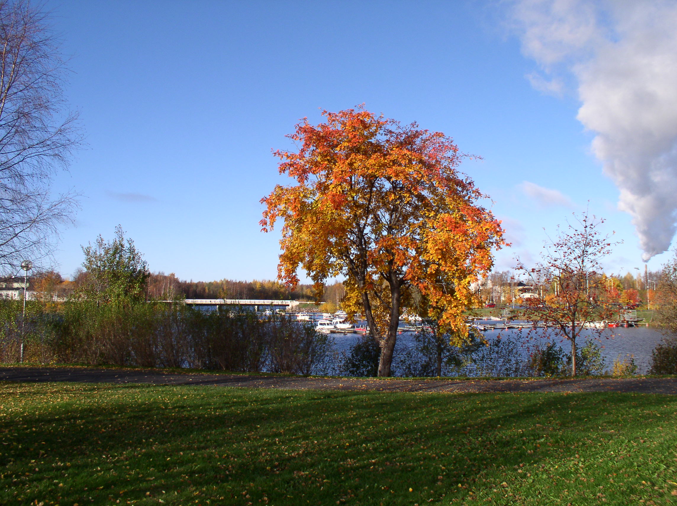 P1010045.JPG
