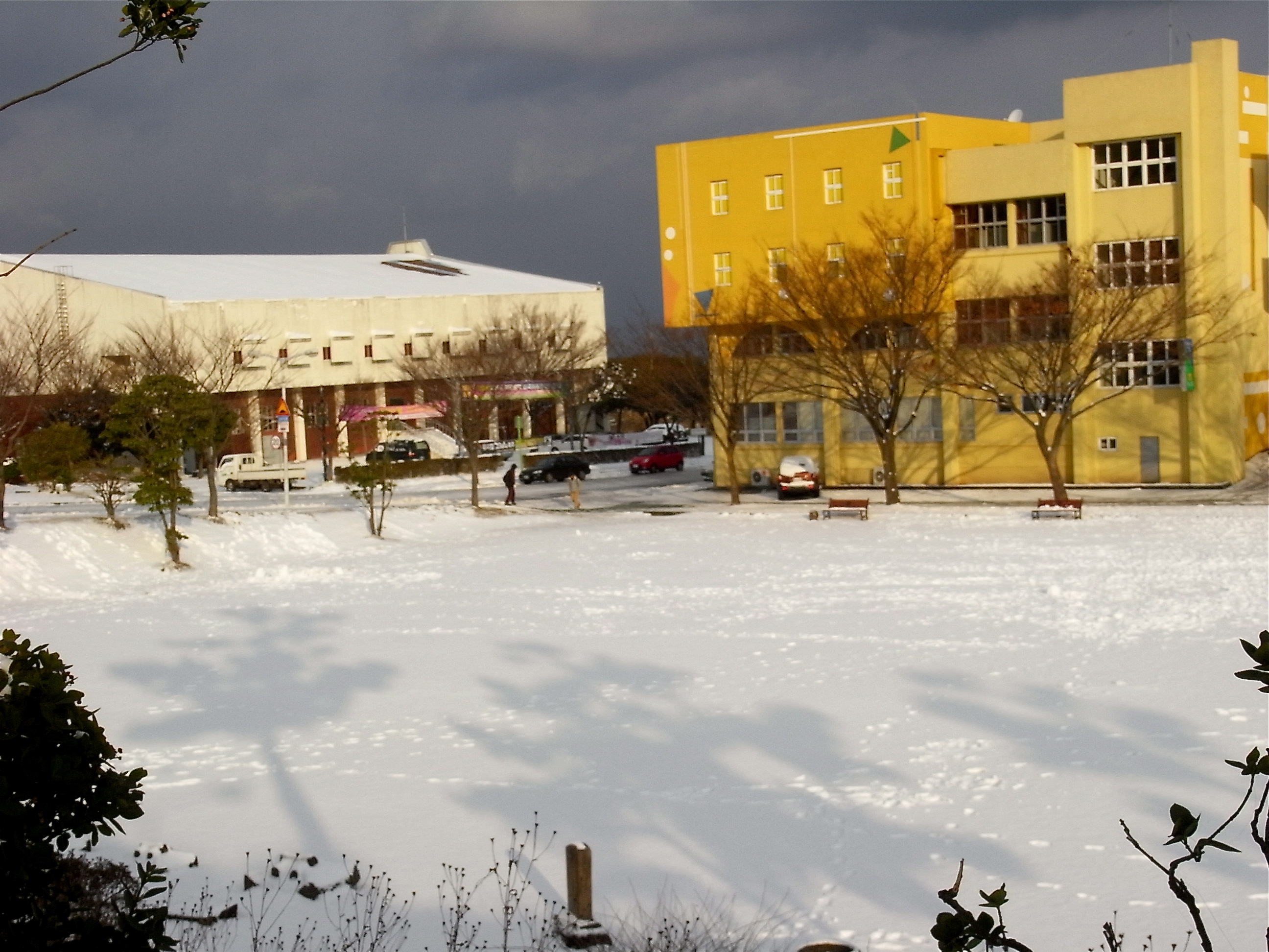 R0012949.JPG