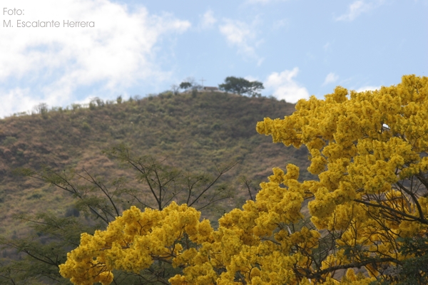 Cerro de la Cruz