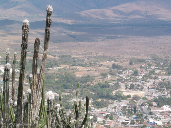 Vista Desde el Cerro en Verano