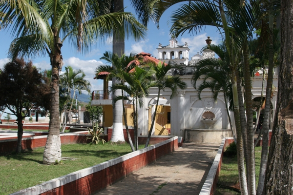 Jardinizacion del Parque Central