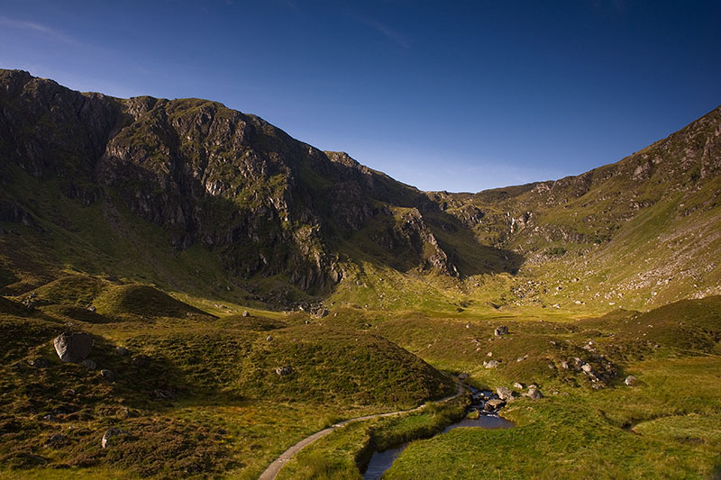 Corrie Fee.