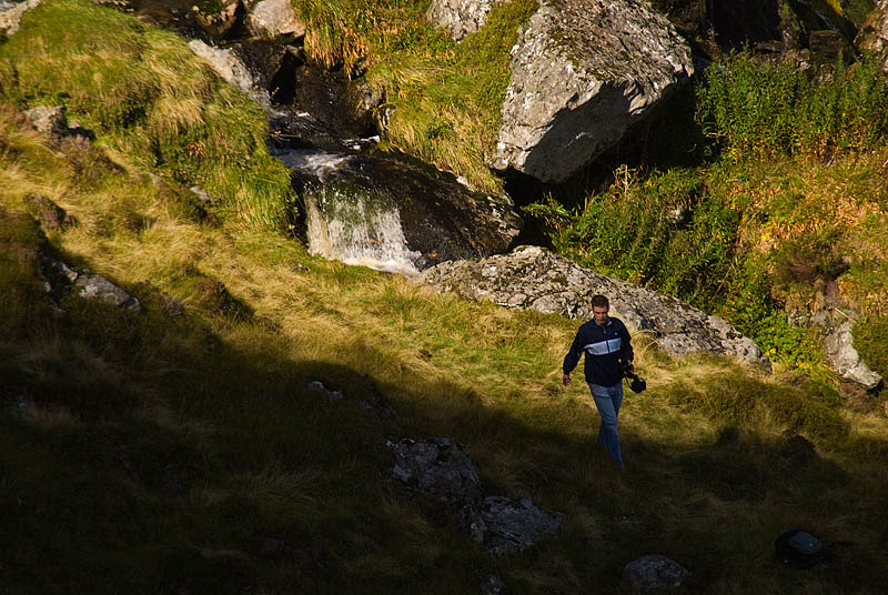 Corrie Fee.