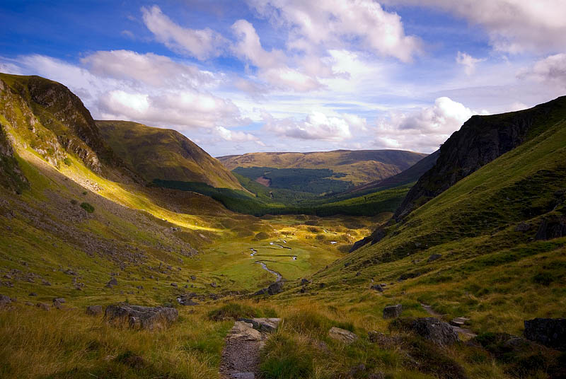 Corrie Fee.