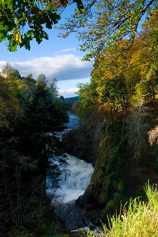Reekie Linn.