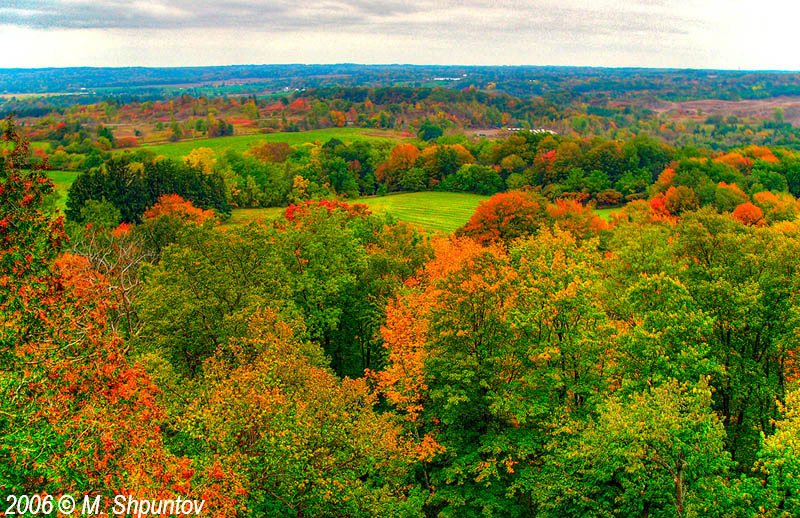 Overcast Fall Day