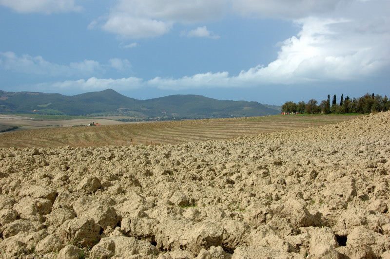 Colline Toscane