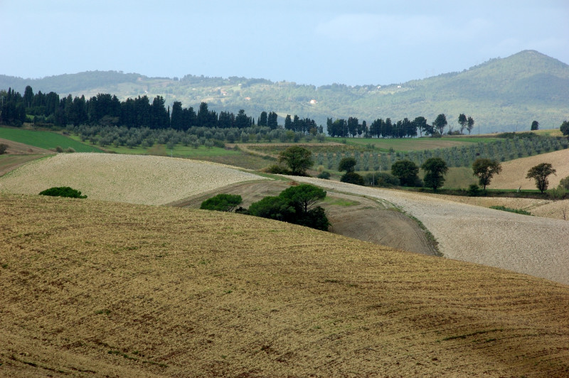 Colline Toscane