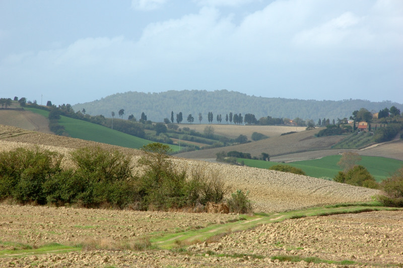 Colline Toscane