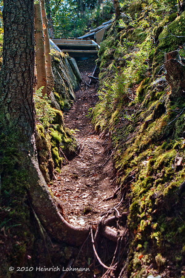 K230165.jpg