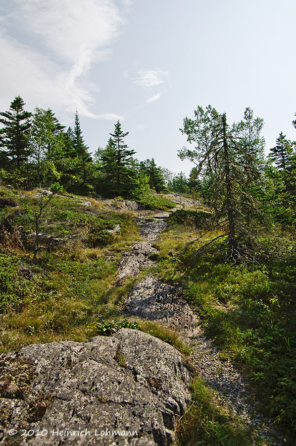 K230646.jpg