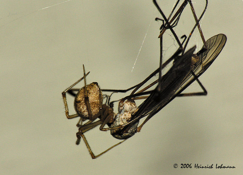 4092-web.jpg