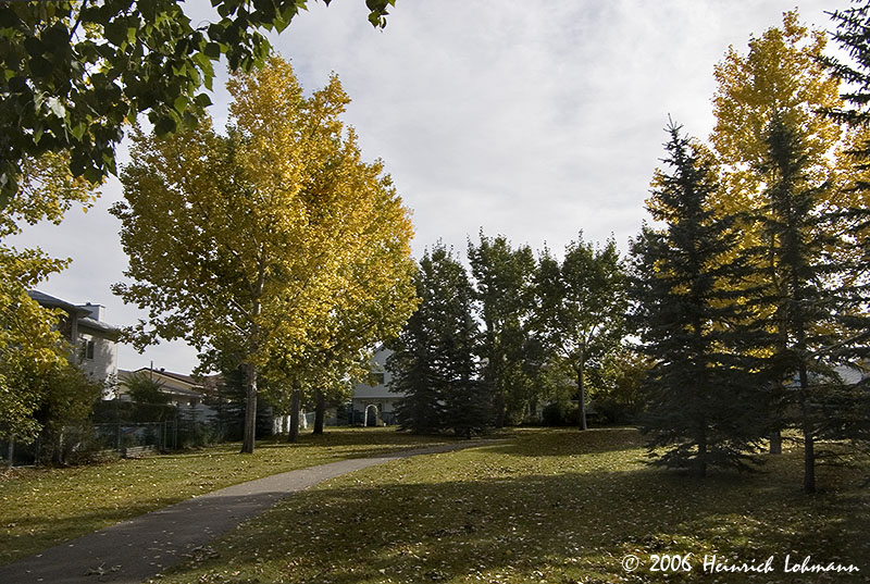 P2671-Airdrie.jpg