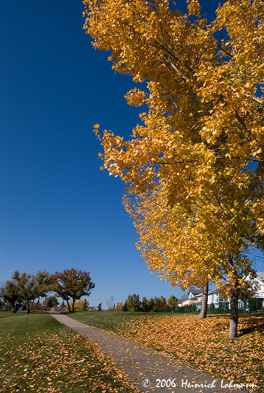P3161-web.jpg