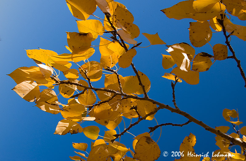 P3168-web.jpg