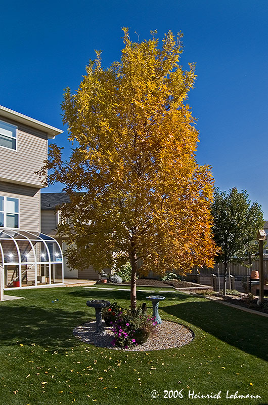 P3252-web.jpg