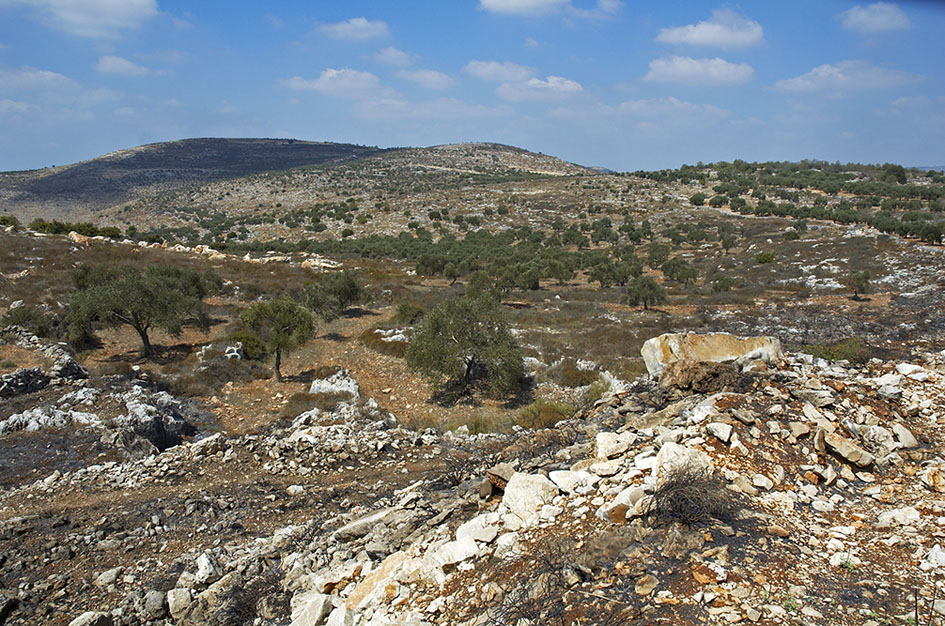 20060915-13.jpg