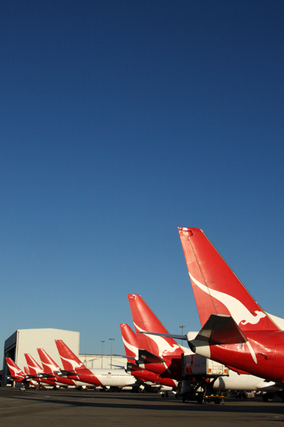 QANTAS TAILS SYD RF IMG_5403.jpg