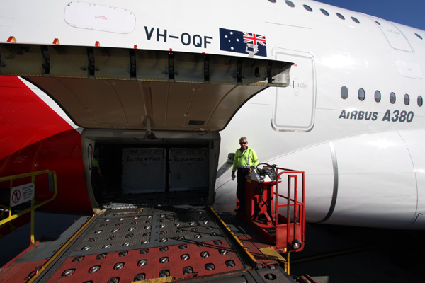 QANTAS AIRBUS A380 SYD RF IMG_6182.jpg