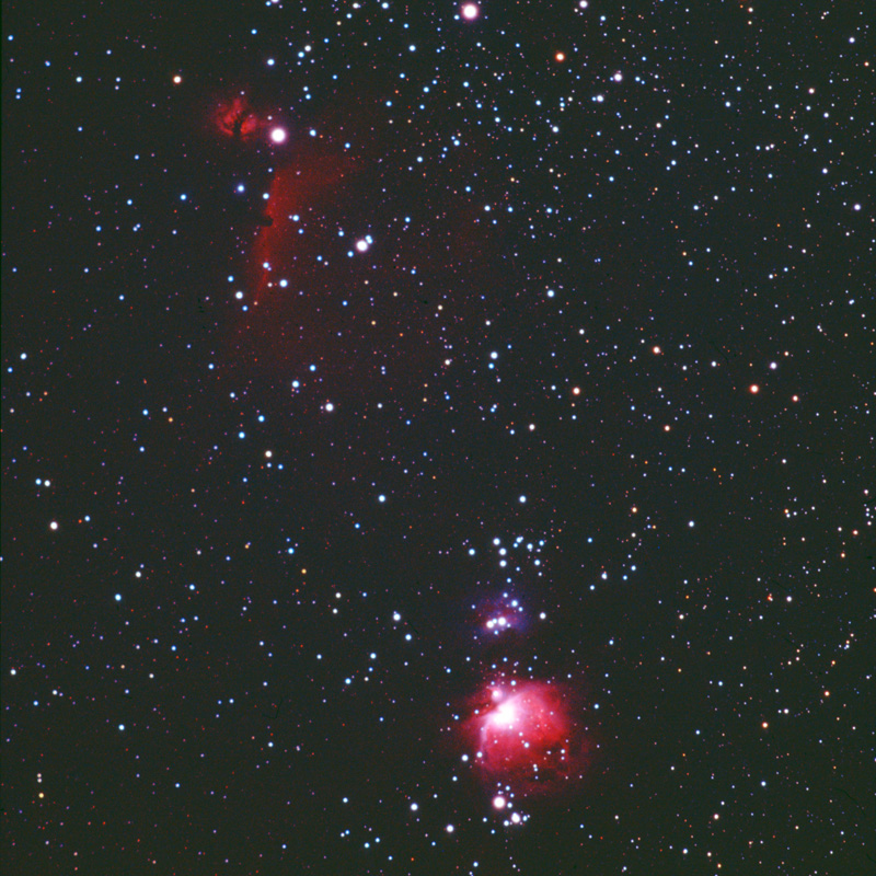 M42 & IC434 : Orion and Horsehead Nebula [film]