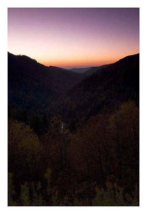 Near Newfound Gap
