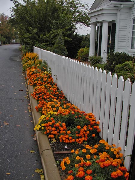 Fredericksburg, VA