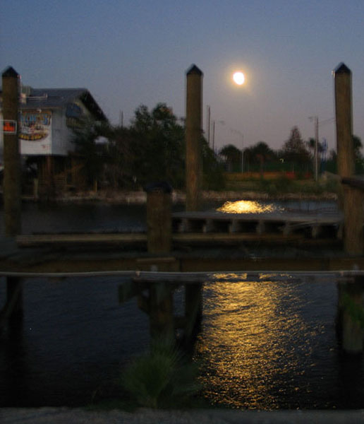 Moonlight Serenade-Day 7 of Reflections Challenge