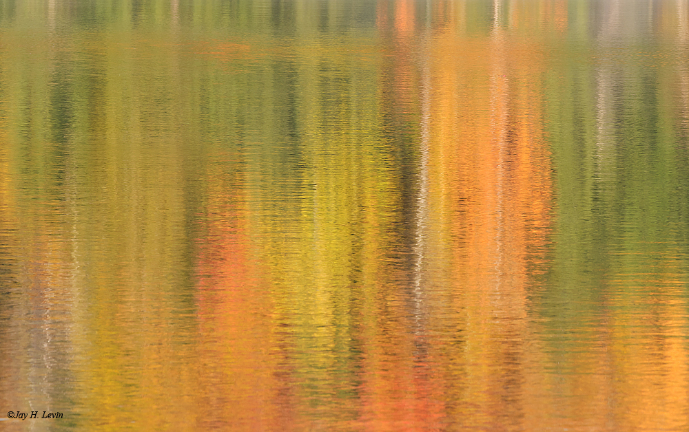 Petes Lake Reflection