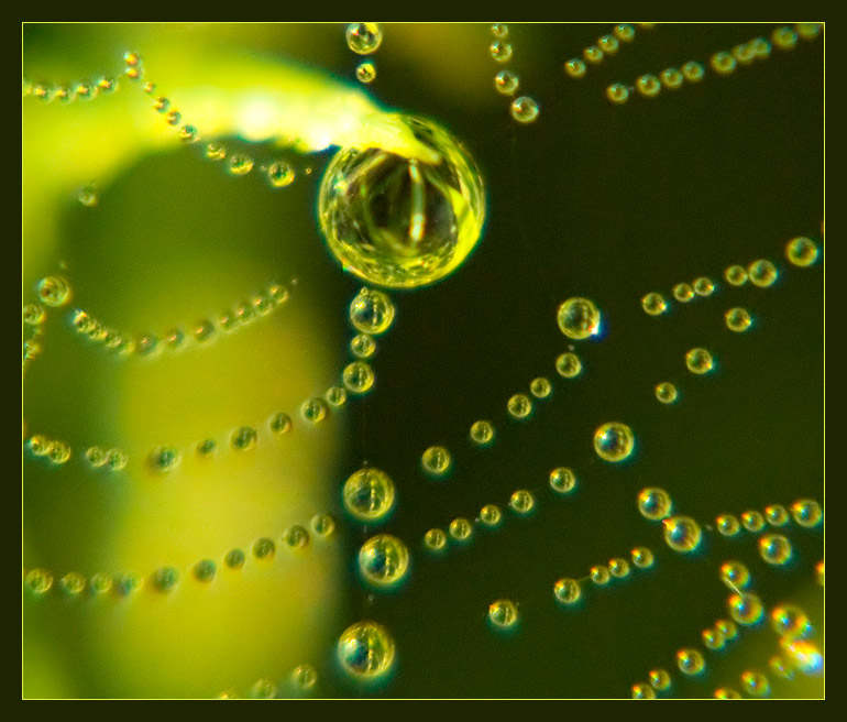 web2455.jpg