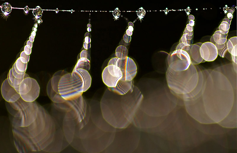 <b>3rd Place</b><br>Morning-Impressions* <br> by MCsaba