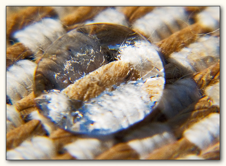 <b>9th Place (tie)</b><br>WaterOptics*