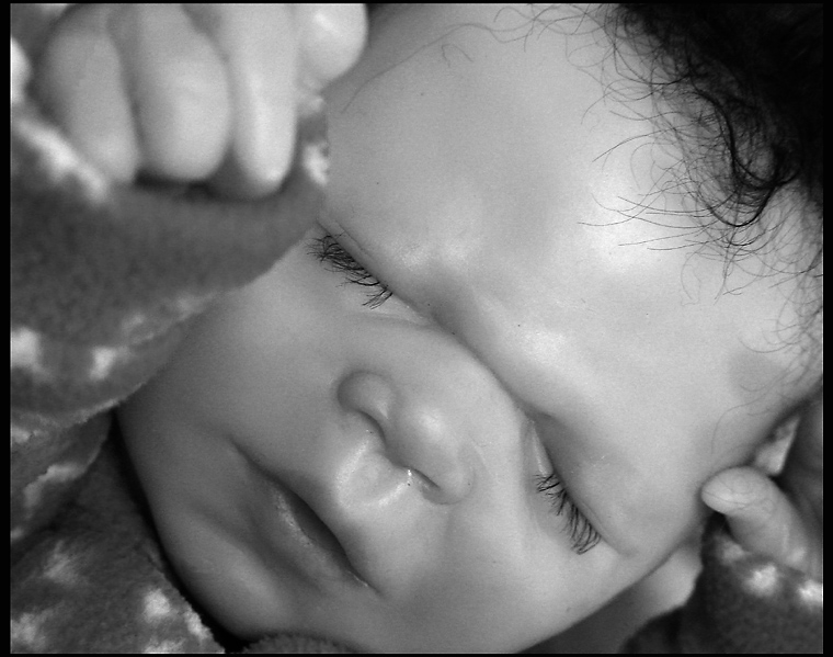 Daniel <br> by Cynthiana Kenison