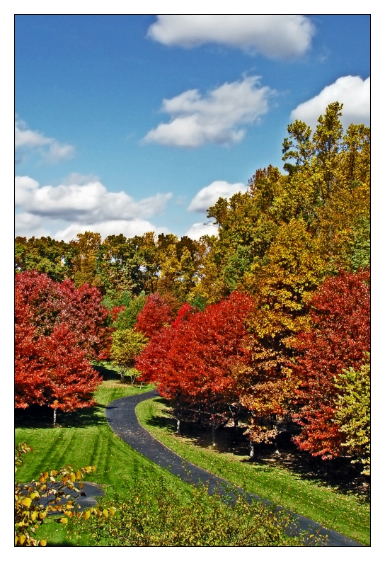 My back yard * <br> by Derya Uzturk