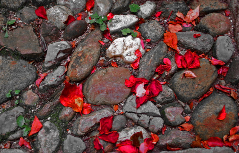 Animating the stones....