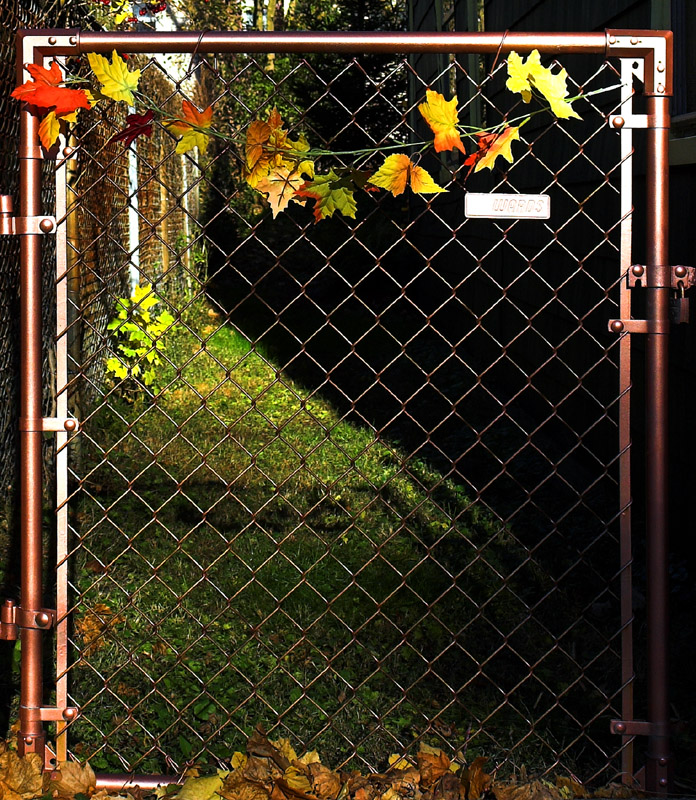 gate with leaves<br>by inframan