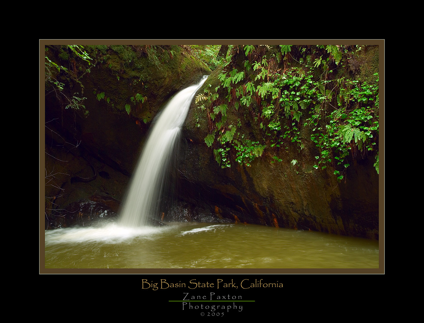 Sempervirens Creek.jpg