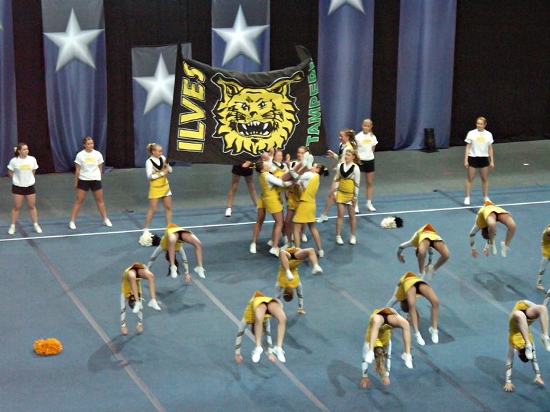 Ilves, Tampere