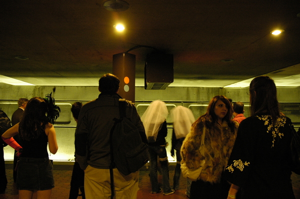small_DSC0446.JPG
