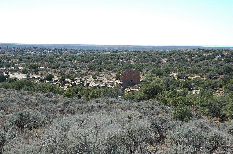 Holly Ruin