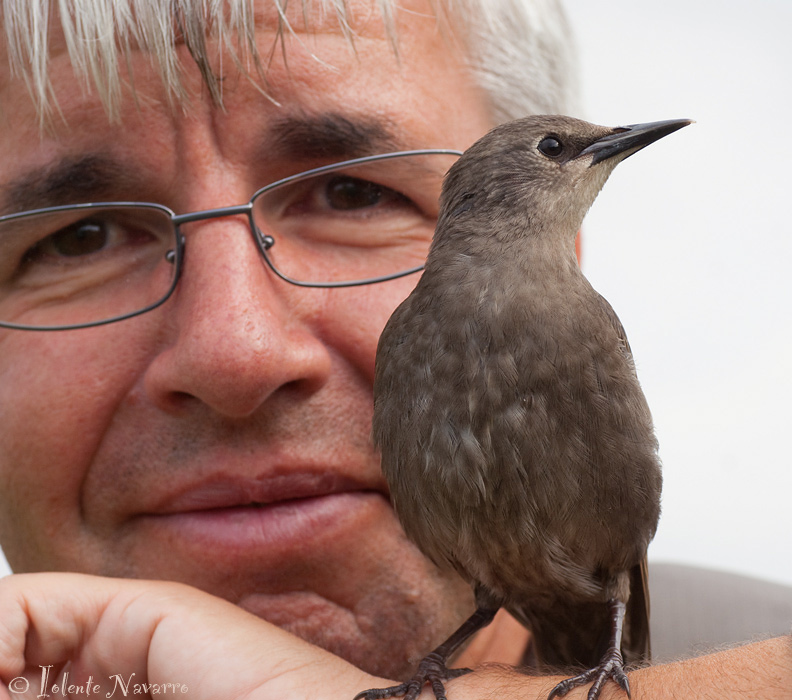 Spreeuw en Arie / Starling and Arie