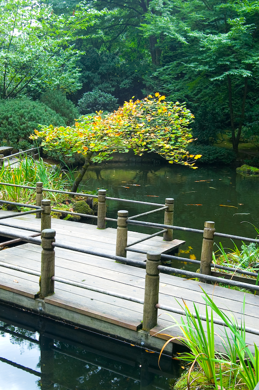 Zig-Zag Bridge