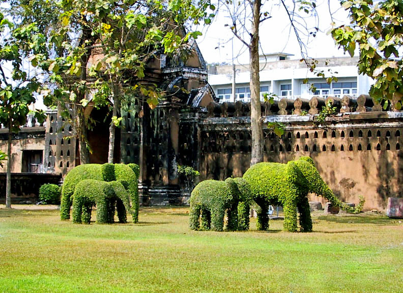 Topiary elephants