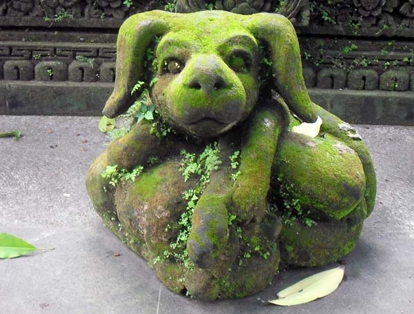 moss covered canine.jpg