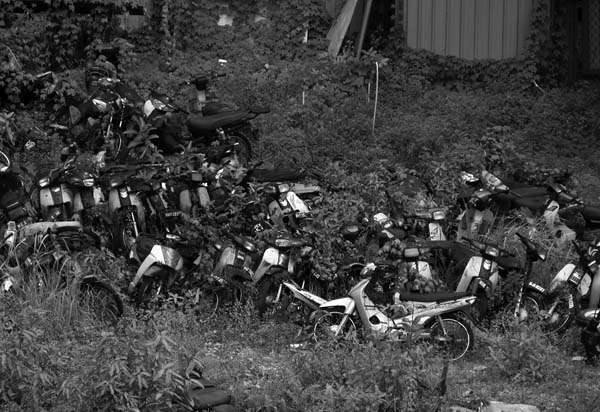 motorbike graveyard.jpg