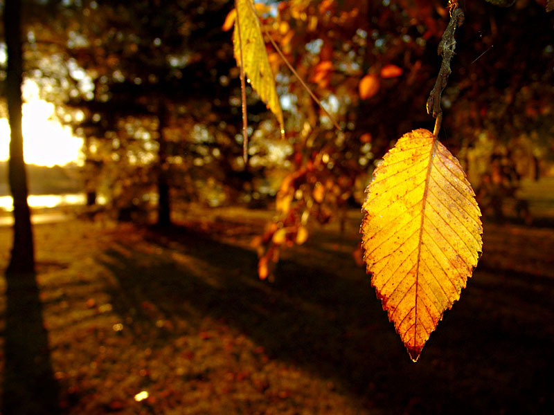 October 28 2006