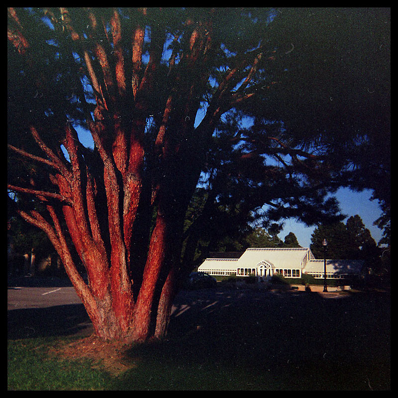 fall2006-08