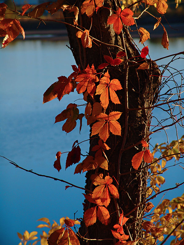 October 29 2006