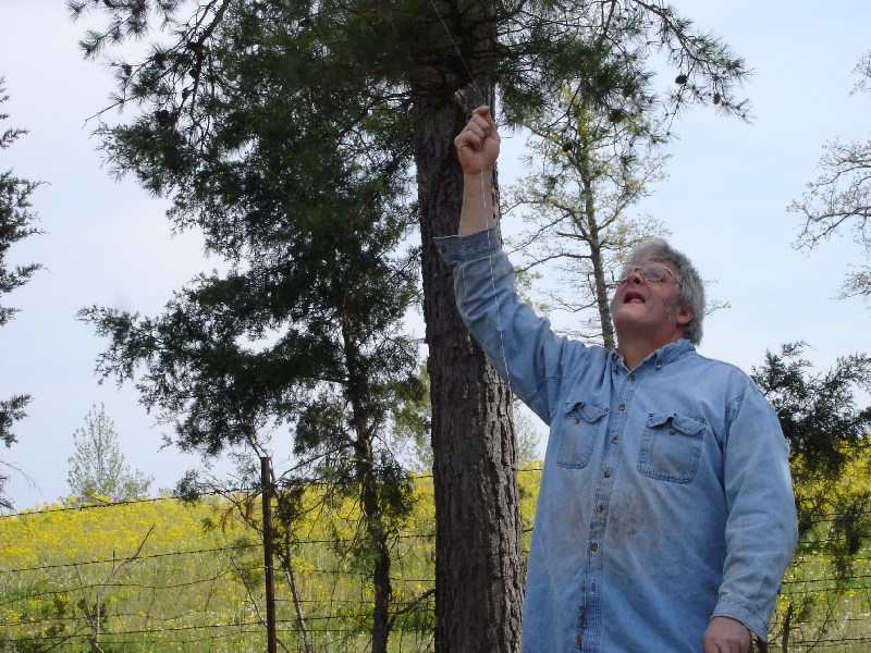 Father-in-Law Flying Kite