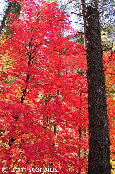 West Fork