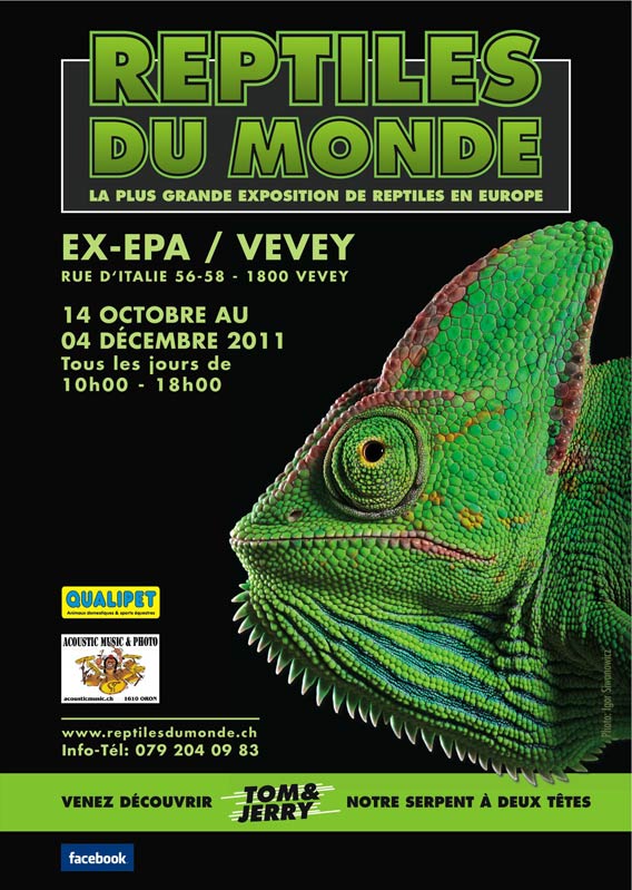 reptiles-du-monde.jpg